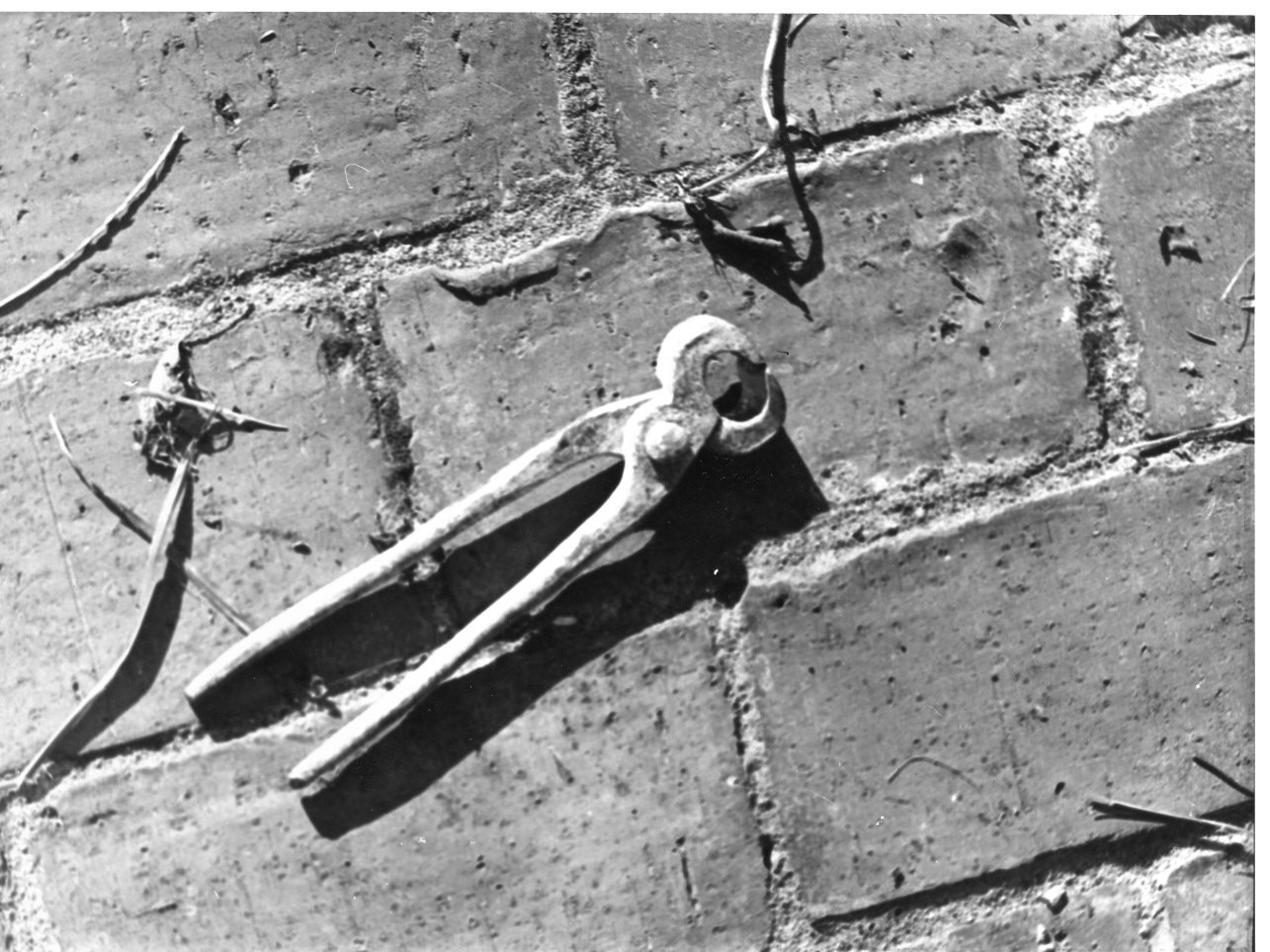 tenaglia - produzione (sec. XX)