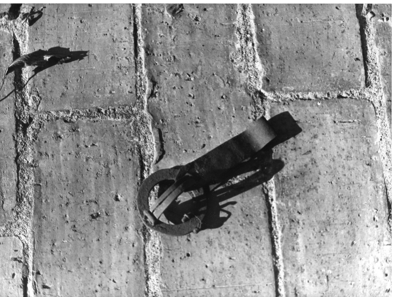 trappola per topi - produzione (sec. XIX)