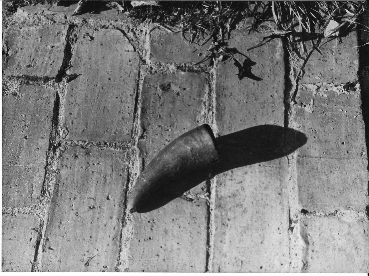 corno - produzione (sec. XX)