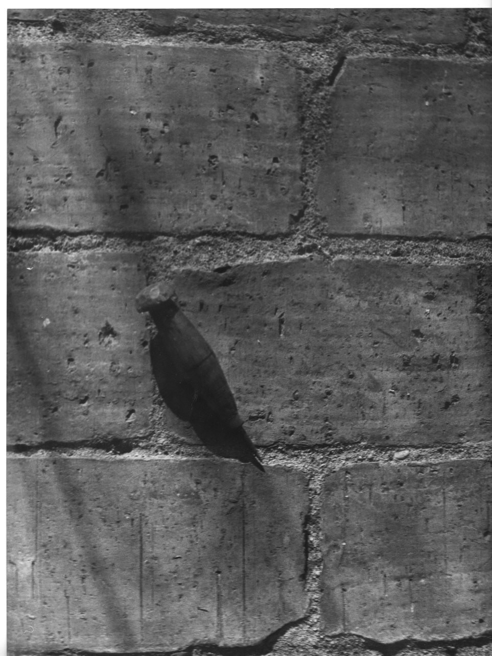 lesina - produzione (sec. XIX, sec. XX)