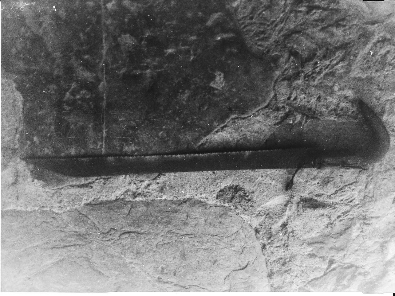 saracco - produzione (sec. XX)