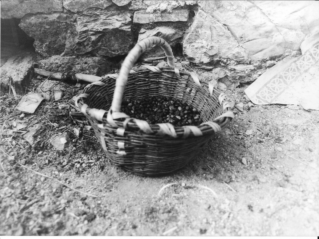 cesto di Piccioli Domenico (contadino) - produzione (sec. XX)
