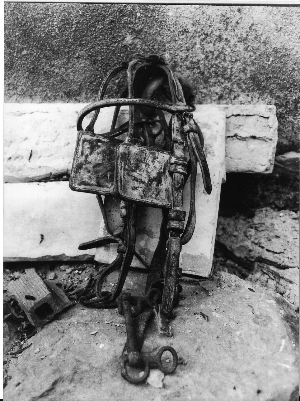 briglia - produzione (sec. XX)