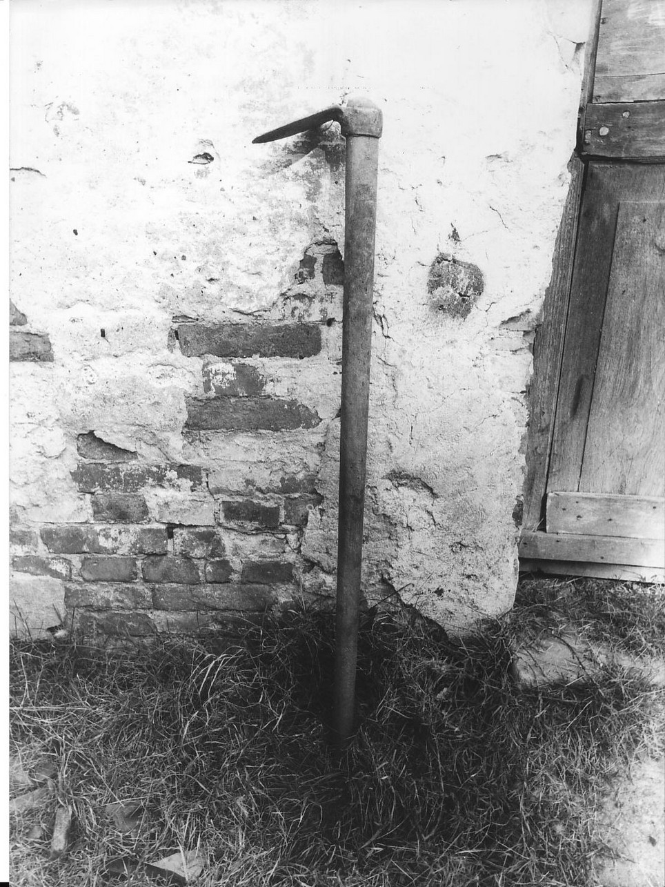 zappetta - produzione (1928)