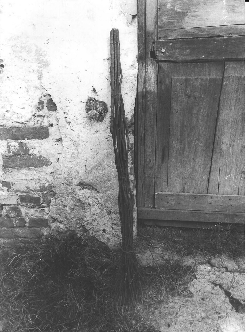 ramazza di Petacchi Carlo (contadino) - produzione (sec. XX)