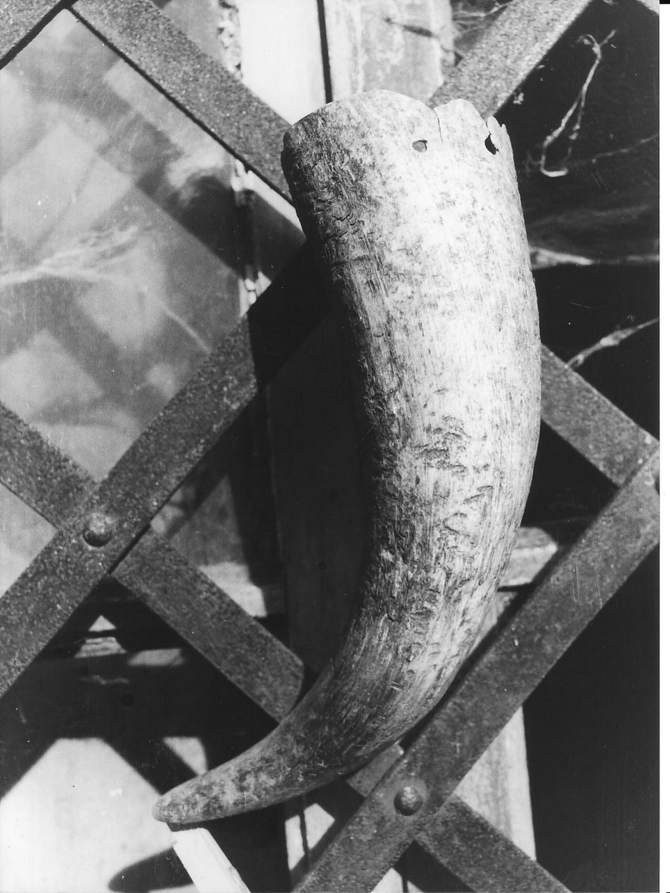 portacote di Petacchi Carlo (contadino) - produzione (sec. XX)