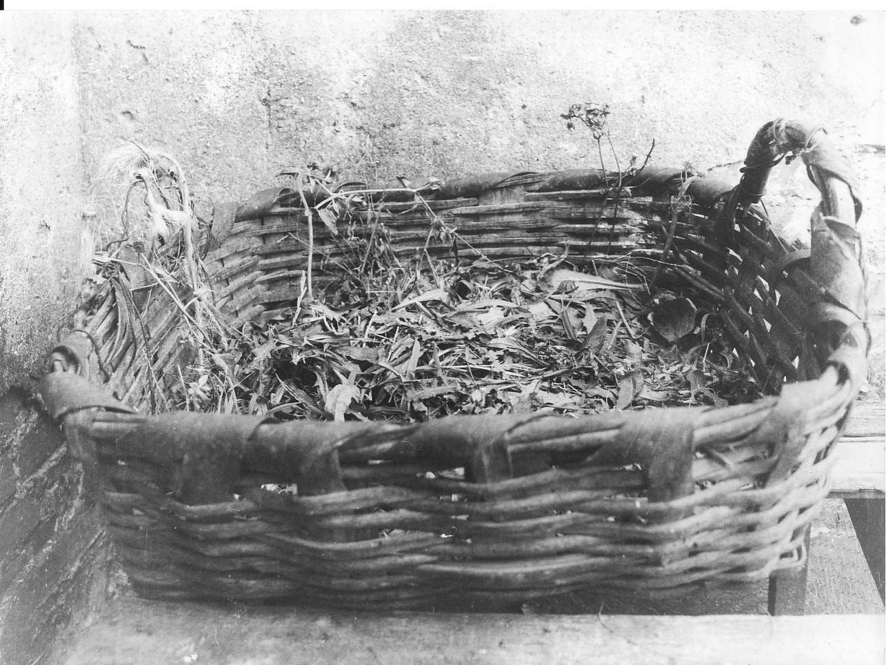 paniere - produzione (sec. XX)
