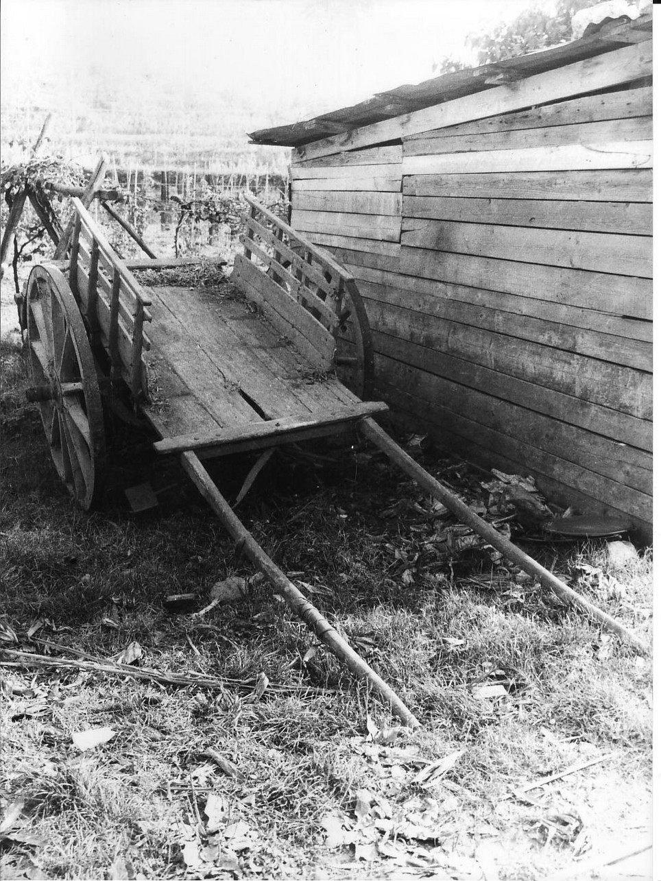 carro - produzione (sec. XIX fine, sec. XX inizio)