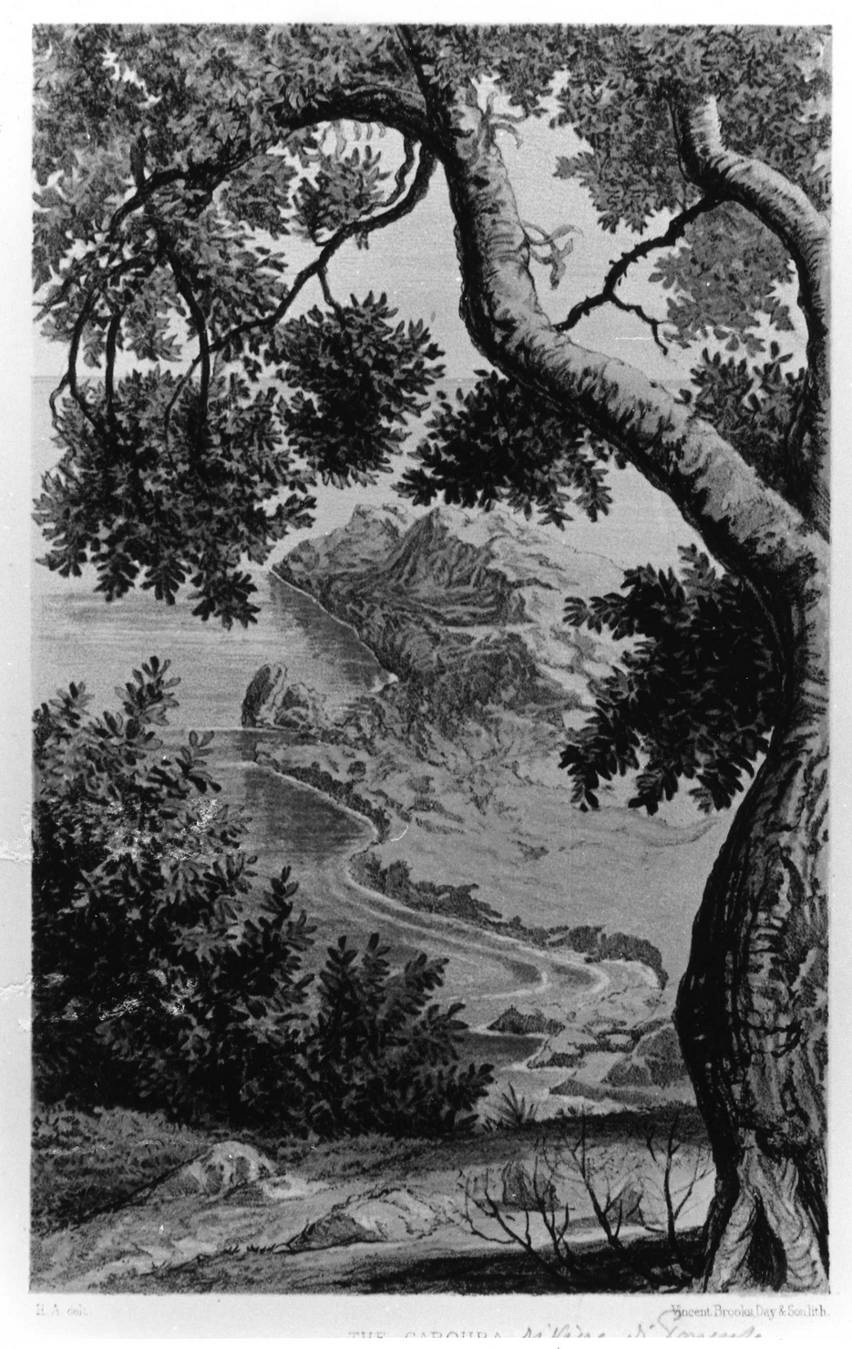 paesaggio (stampa a colori) di Alford Henry (sec. XIX)