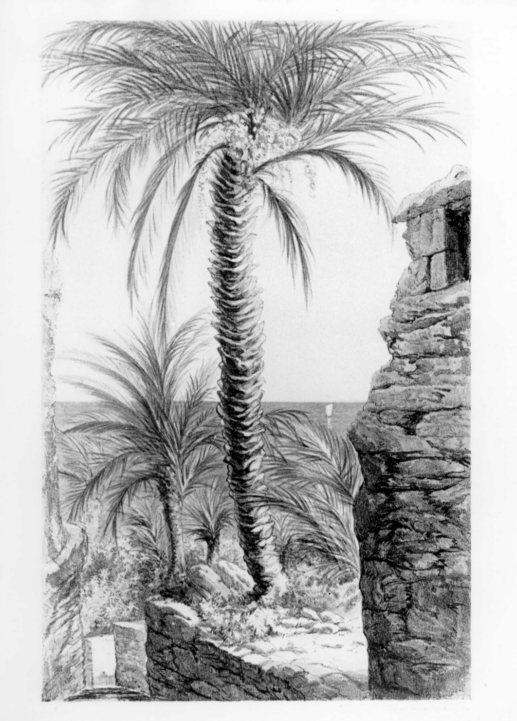 paesaggio (stampa a colori) di Alford Henry (sec. XIX)