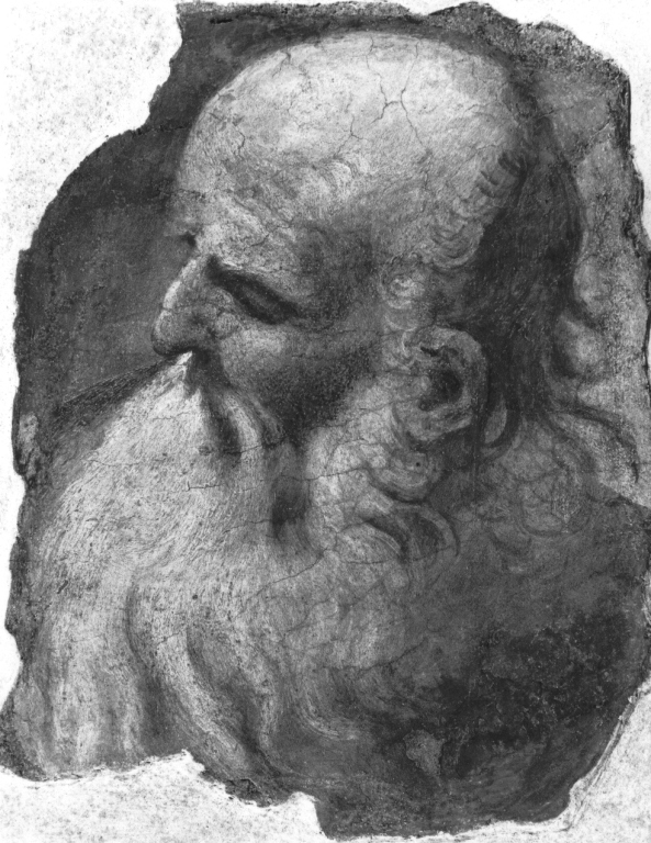 testa di vecchio (dipinto) di Borgianni Orazio (sec. XVII)