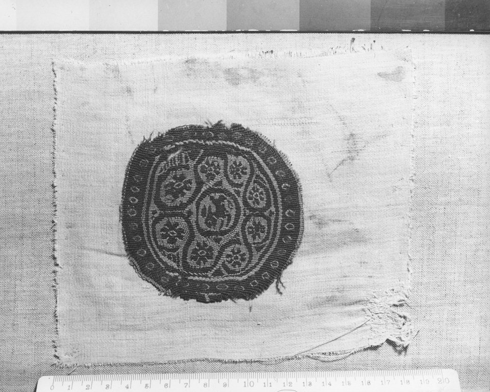 orbicolo - ambito copto (secc. V/ VI)