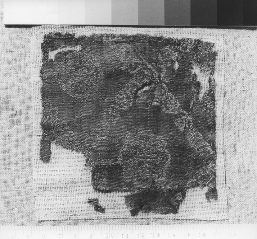 tessuto, frammento - ambito copto (secc. VIII/ IX)