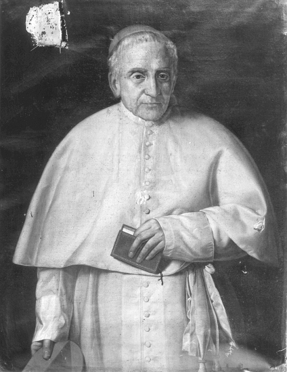 ritratto del cardinal Ambrogio Bianchi (dipinto) - ambito romano (sec. XIX)
