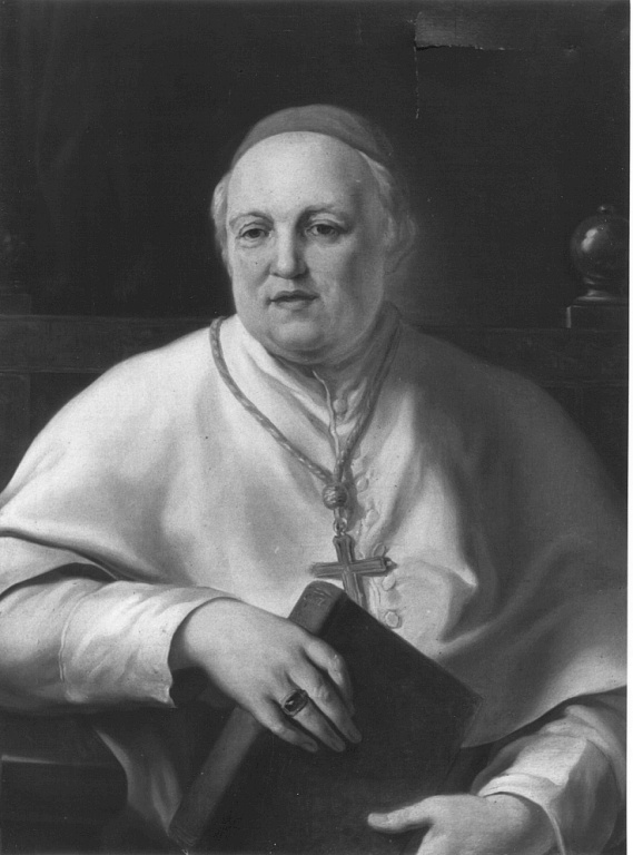 ritratto del cardinal Placido Zurla (dipinto) di Camuccini Vincenzo (sec. XIX)