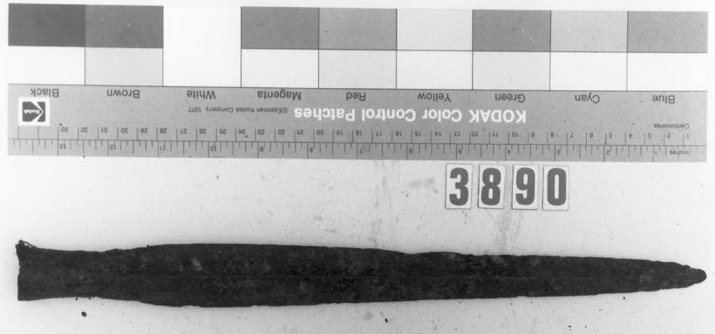 cuspide di lancia, elemento d'insieme - produzione europea (sec. IX)