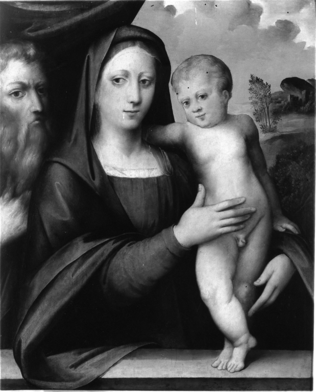 Sacra Famiglia (dipinto) di Raibolini Francesco detto Francesco Francia (scuola) (secc. XV/ XVI)
