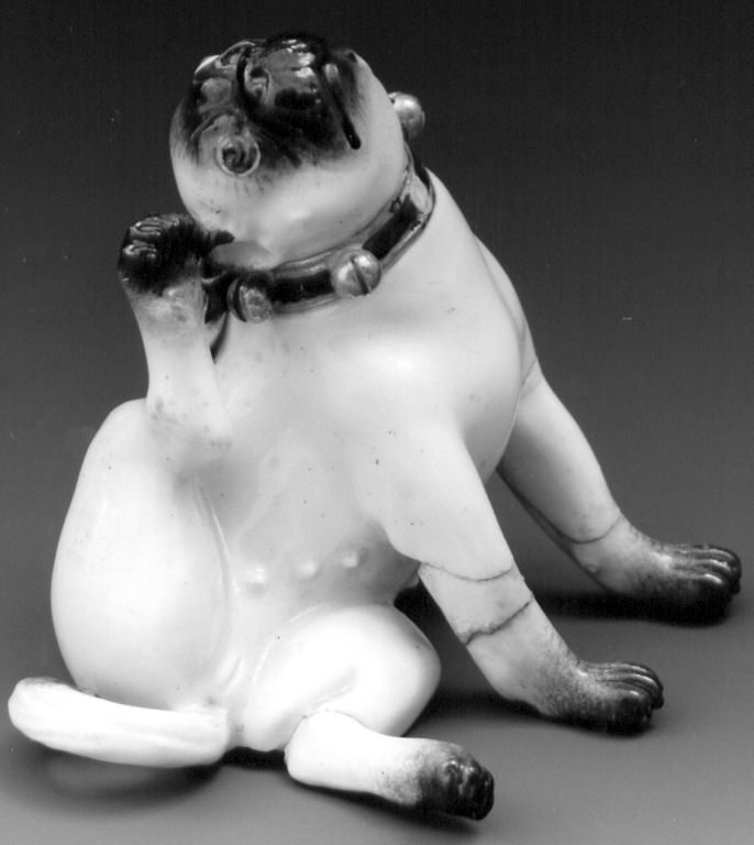 cane carlino che si gratta un orecchio (statuetta) - manifattura di Meissen (sec. XVIII)