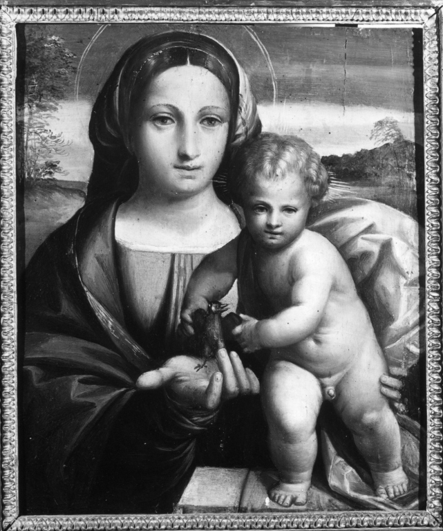 Madonna con Bambino (dipinto) di Tisi Benvenuto detto Garofalo (attribuito) (sec. XVI)