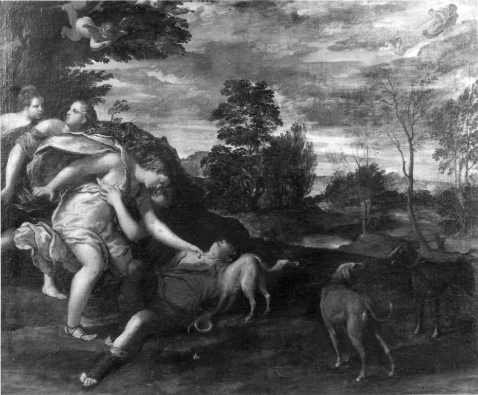 Venere e Adone (dipinto) di Scarsella Ippolito detto Scarsellino (inizio sec. XVII)