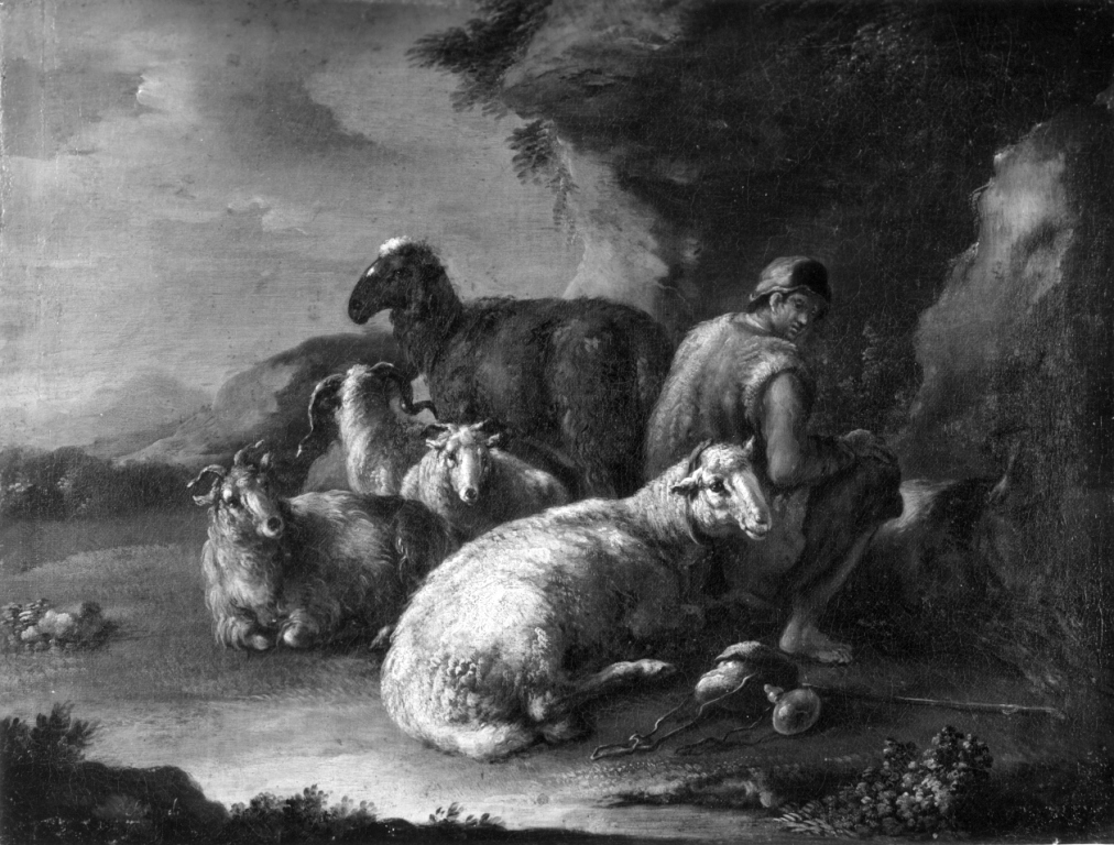 Pastore con pecore (dipinto) di Brandi Domenico detto Micco (inizio sec. XVIII)