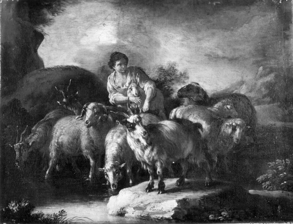 Pastore con pecore (dipinto) di Brandi Domenico detto Micco (inizio sec. XVIII)