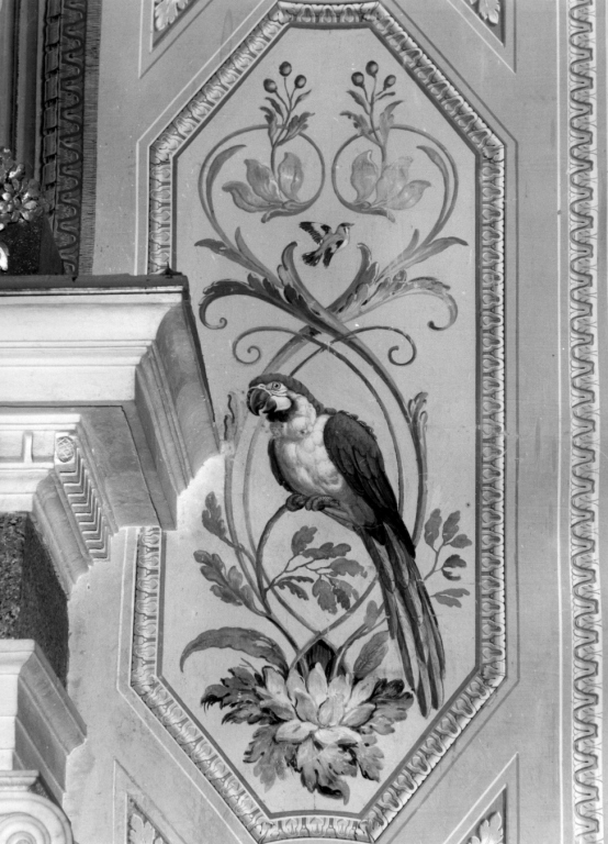Pappagallo e uccello (dipinto) di Peters Johann Wenzel (sec. XVIII)