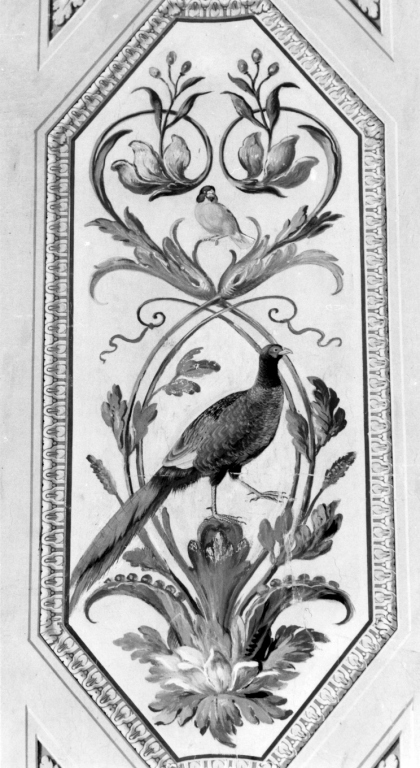 Fagiano e uccello (dipinto) di Peters Johann Wenzel (sec. XVIII)
