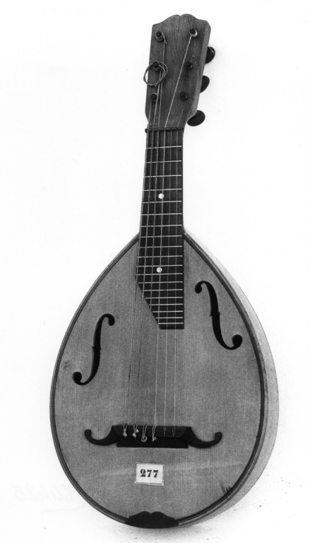 mandolino - ambito italiano (secc. XIX/ XX)