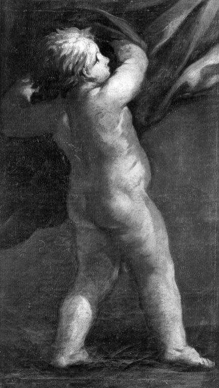 putto (dipinto) di Berrettini Pietro detto Pietro da Cortona (maniera) (metà sec. XVII)