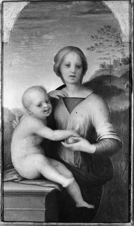 Madonna con Bambino (dipinto) di Andrea d'Agnolo detto Andrea del Sarto (attribuito) (inizio sec. XVI)