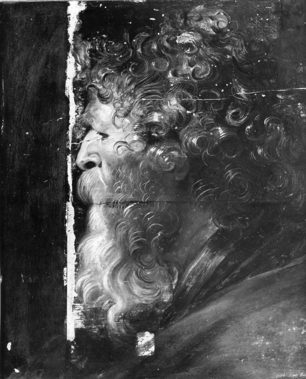 testa di vecchio (dipinto) di Rubens Pieter Paul (attribuito) (inizio sec. XVII)