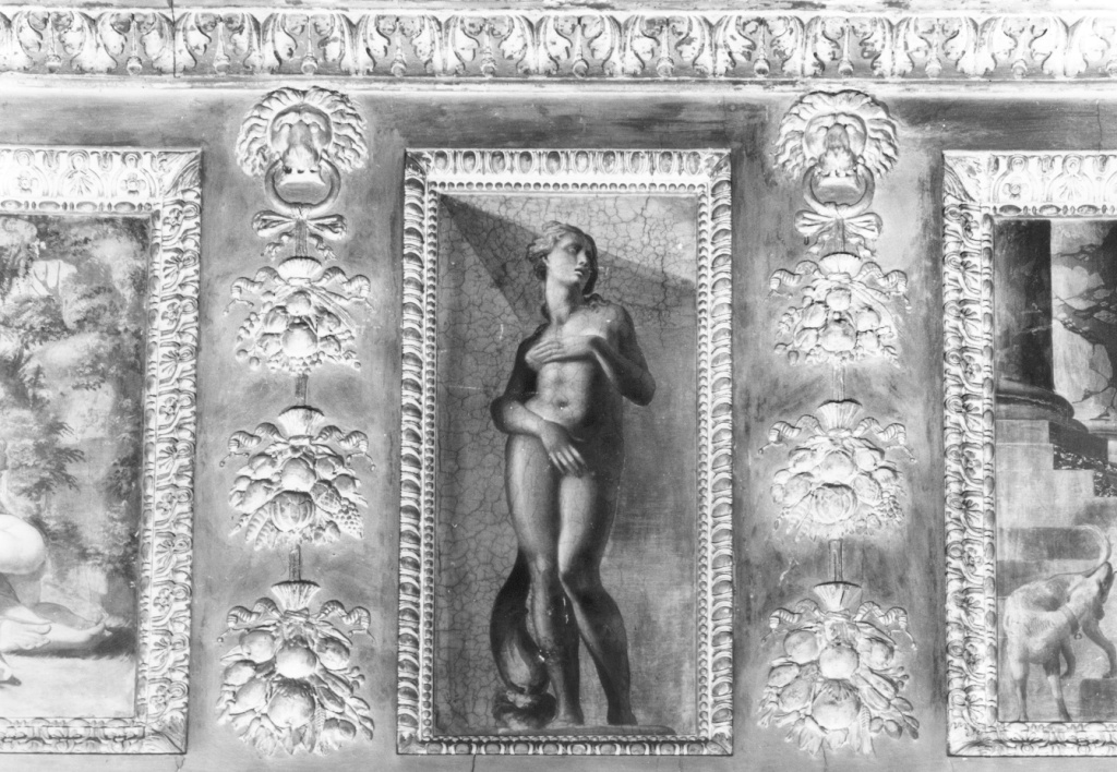 Venere (dipinto) di Ricciarelli Daniele detto Daniele da Volterra (sec. XVI)