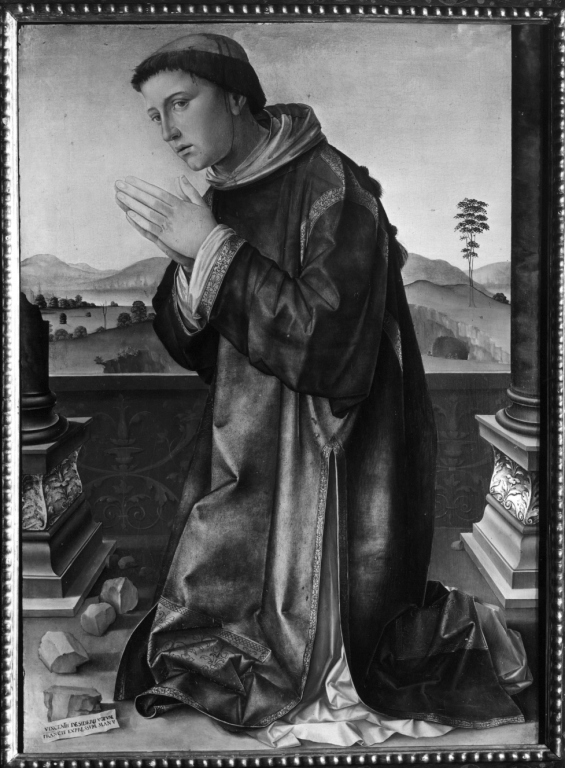 Santo Stefano (dipinto) di Raibolini Francesco detto Francesco Francia (sec. XV)