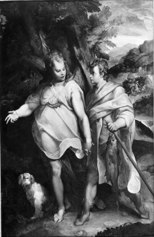 Tobiolo e l'angelo (dipinto) di Motta Raffaellino detto Raffaellino da Reggio (terzo quarto sec. XVI)