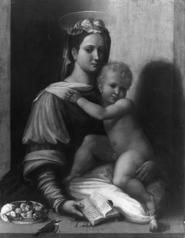 Madonna con Bambino (dipinto) di Bonaccorsi Pietro detto Perin del Vaga (sec. XVI)