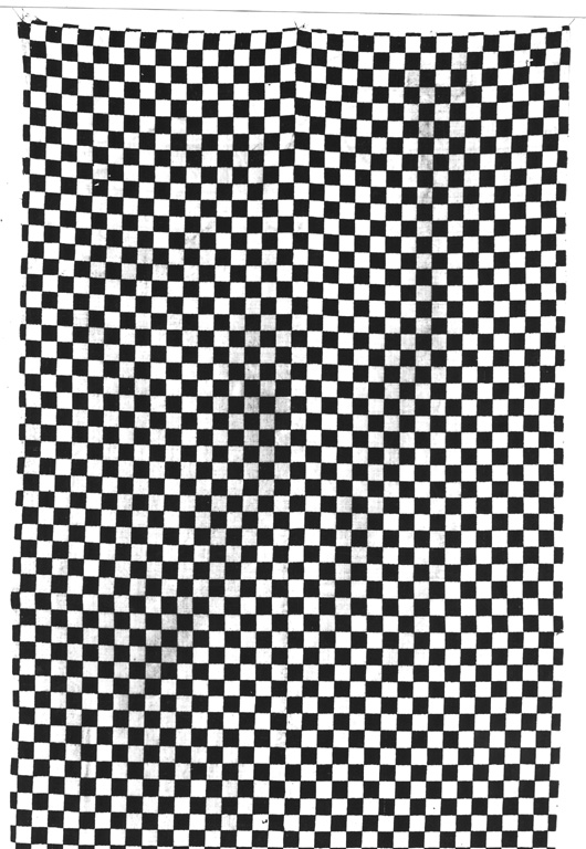 tessuto - manifattura cinese (sec. XIX)