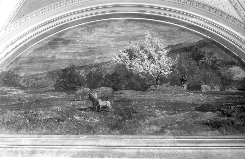 paesaggio rurale (dipinto) di Coleman Enrico (sec. XIX)