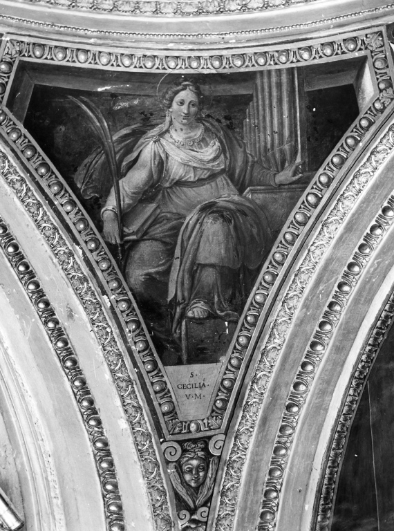 Santa Cecilia (dipinto) di Martinelli Nicolò detto Trometta (sec. XVI)