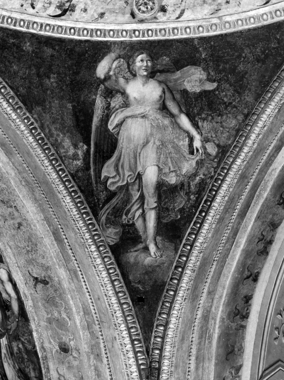 angelo (dipinto, serie) di Pichi Francesco (sec. XVI)