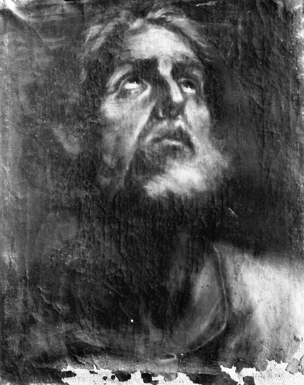 testa di santo (dipinto) di Seyter Daniel (fine sec. XVII)