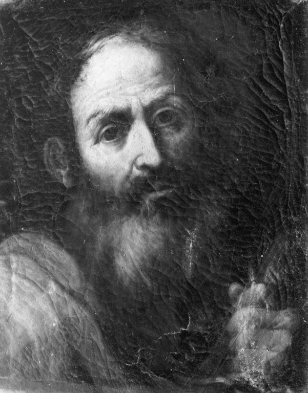 testa di santo (dipinto) - ambito emiliano (metà sec. XVII)