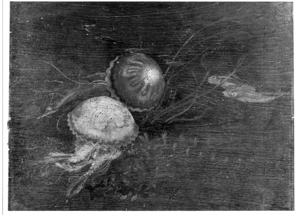 pesci (dipinto, serie) - ambito romano (secondo quarto sec. XX)