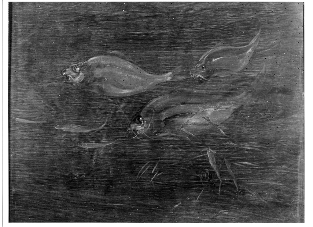 pesci (dipinto, serie) - ambito romano (secondo quarto sec. XX)