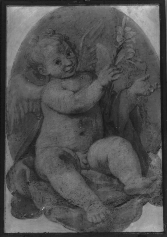 angioletto con giglio (dipinto) di Odazzi Giovanni (primo quarto sec. XVIII)