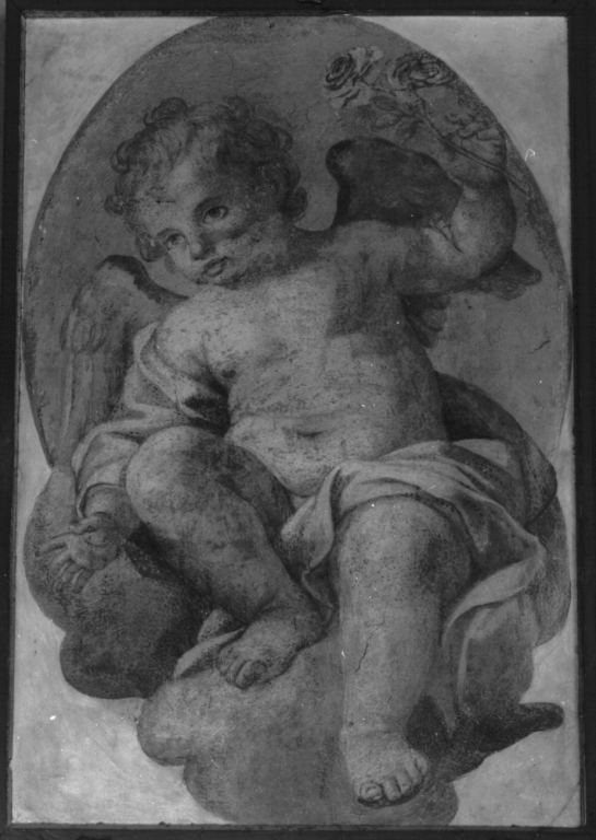 angioletto con rosa (dipinto) di Odazzi Giovanni (primo quarto sec. XVIII)