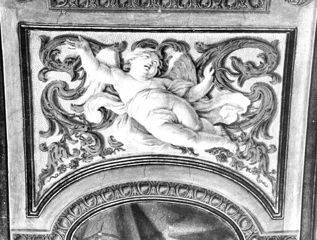 angioletto e motivi decorativi (dipinto) di Cerruti Michelangelo (sec. XVIII)
