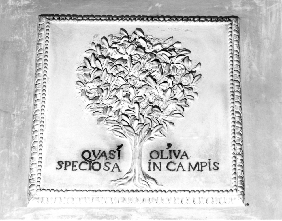 albero di olivo (decorazione plastica) di Cometti Antonio, Cometti Carlo (seconda metà sec. XVII)