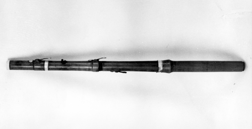 flauto traverso di Ziegler I (sec. XIX)