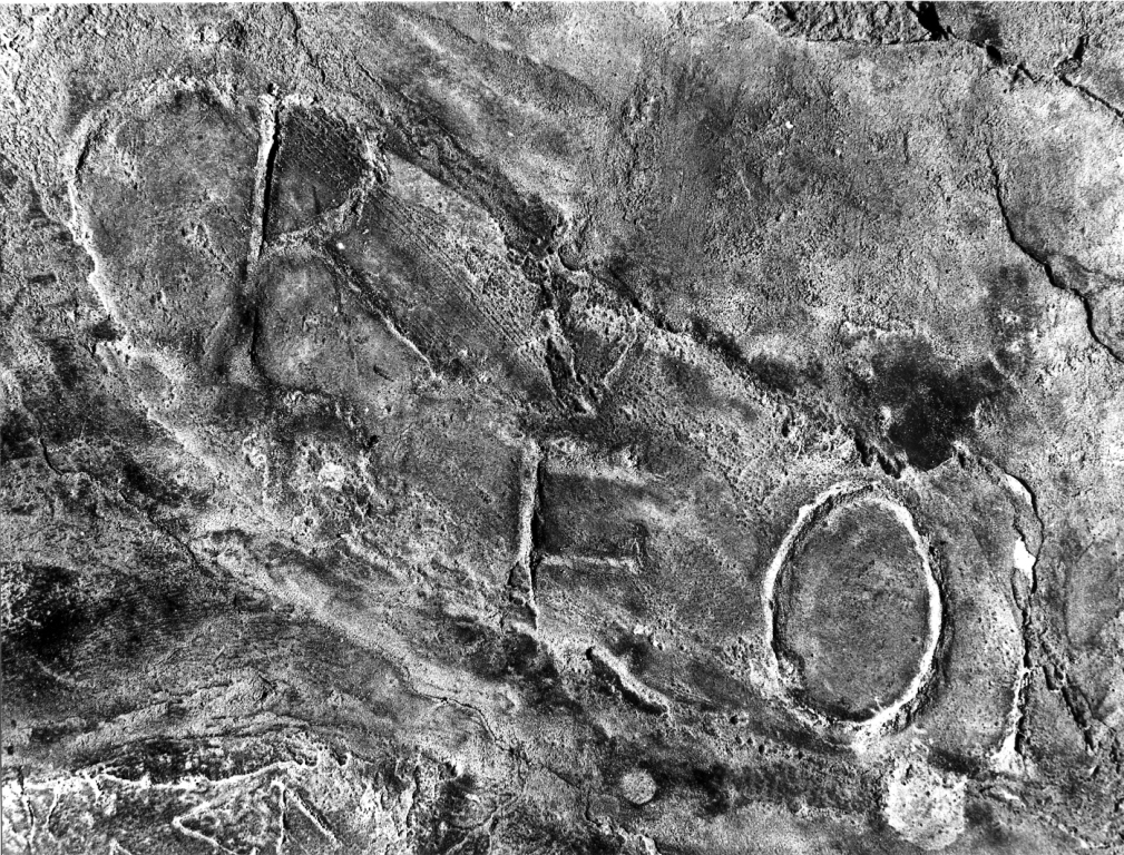 lapide tombale, frammento - ambito romano (secc. III/ IV)